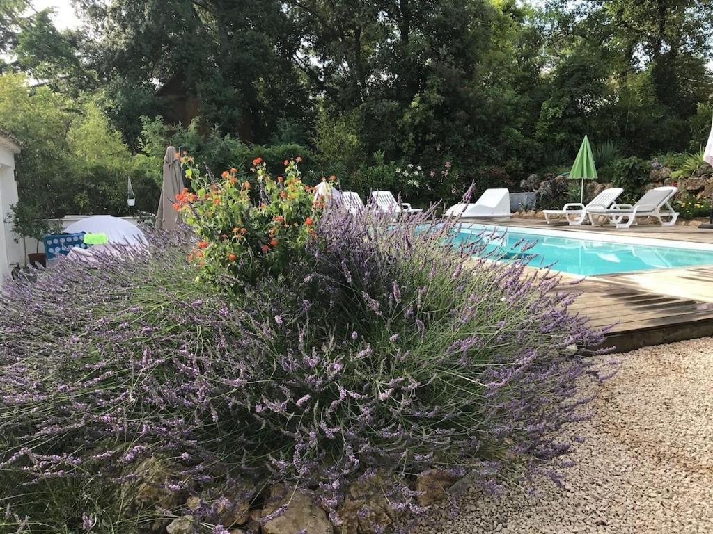Villa Oha Close Cannes,Nice, Valbonne , Opio Рокфор Ле Па Екстериор снимка